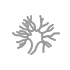 ks_icon6_gray.png